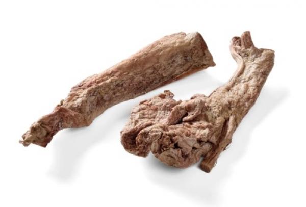 Rinder Sehne gefriergetrocknet